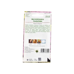 MACIERZANKA PIASKOWA MACIERZANKA PIASKOWA
