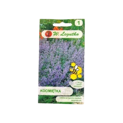 KOCIMIĘTKA