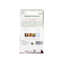 GROSZEK PACHNĄCY