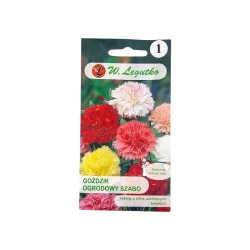 GOŹDZIK OGRODOWY SZABO