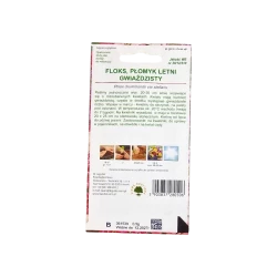 FLOKS PŁOMYK LETNI GWIAŹDZISTY