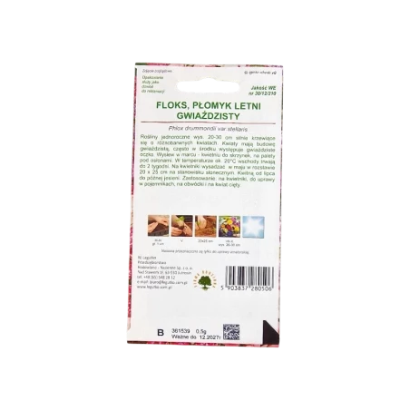 FLOKS PŁOMYK LETNI GWIAŹDZISTY