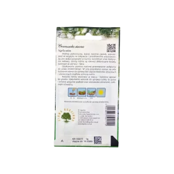 CZARNUSZKA SIEWNA CZARNUSZKA SIEWNA