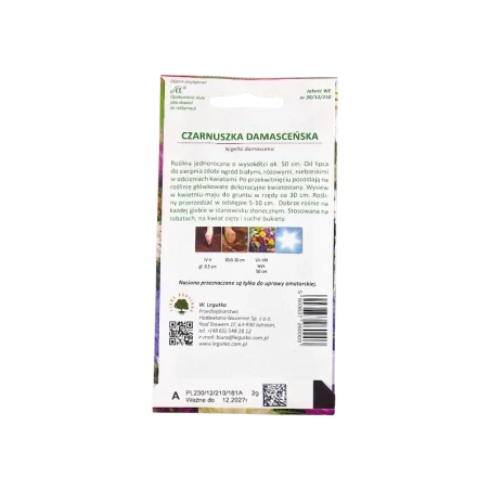 CZARNUSZKA DAMASCEŃSKA