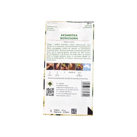 AKSAMITKA WZNIESIONA AKSAMITKA WZNIESIONA