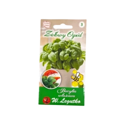 BAZYLIA WŁAŚCIWA
