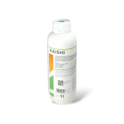 KAISHI