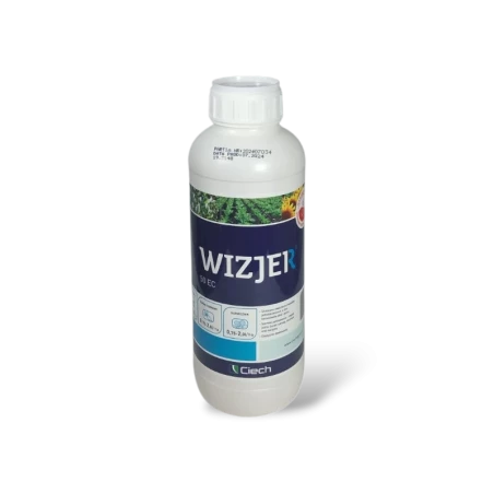WIZJER 50 EC