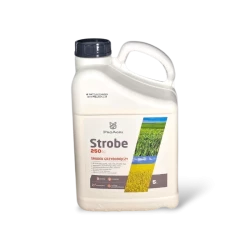 STROBE 250 SC