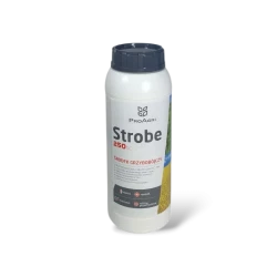 STROBE 250 SC