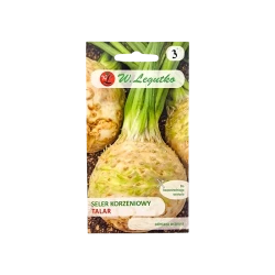 SELER KORZENIOWY-TALAR SELER KORZENIOWY-TALAR