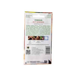 POMIDOR WYSOKI-ZŁOTY OŻAROWSKI POMIDOR WYSOKI-ZŁOTY OŻAROWSKI