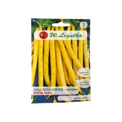 FASOLA ZWYKŁA KARŁOWA SZPARAGOWA-ZŁOTA SAXA
