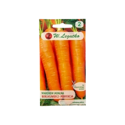 MARCHEW JADALNA-BERLIKUMER 2 PERFEKCJA