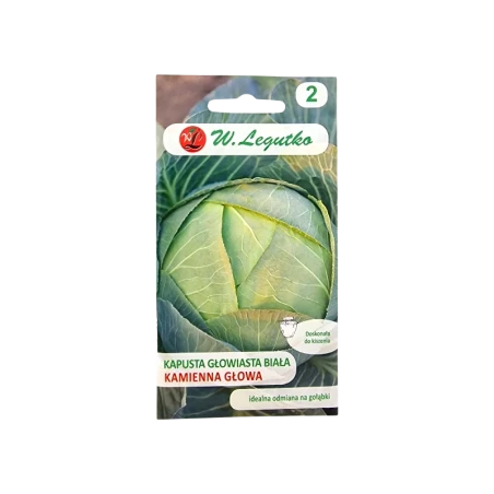 KAPUSTA GŁOWIASTA BIAŁA-KAMIENNA GŁOWA