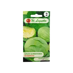 KAPUSTA GŁOWIASTA BIAŁA-BRUNŚWICKA