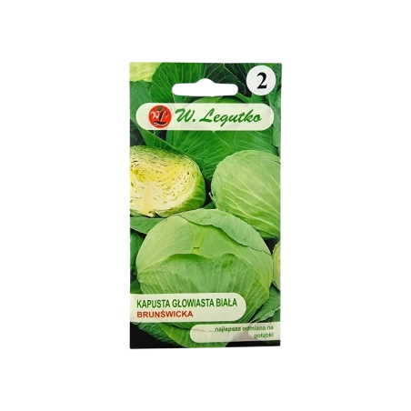 KAPUSTA GŁOWIASTA BIAŁA-BRUNŚWICKA