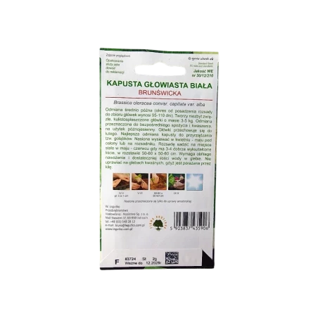 KAPUSTA GŁOWIASTA BIAŁA-BRUNŚWICKA KAPUSTA GŁOWIASTA BIAŁA-BRUNŚWICKA