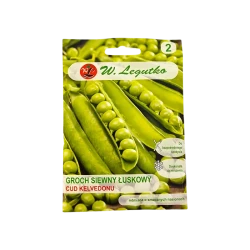 GROCH SIEWNY ŁUSKOWY-CUD KELVEDONU