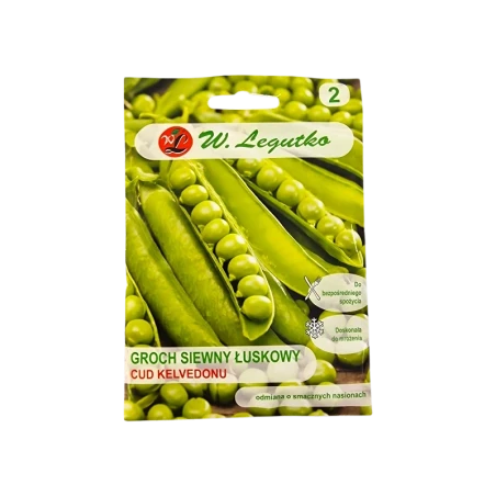 GROCH SIEWNY ŁUSKOWY-CUD KELVEDONU