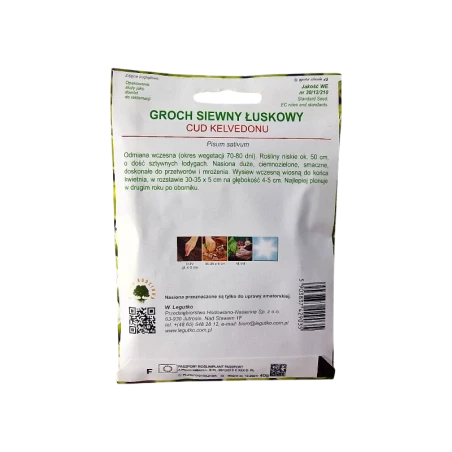 GROCH SIEWNY ŁUSKOWY-CUD KELVEDONU GROCH SIEWNY ŁUSKOWY-CUD KELVEDONU