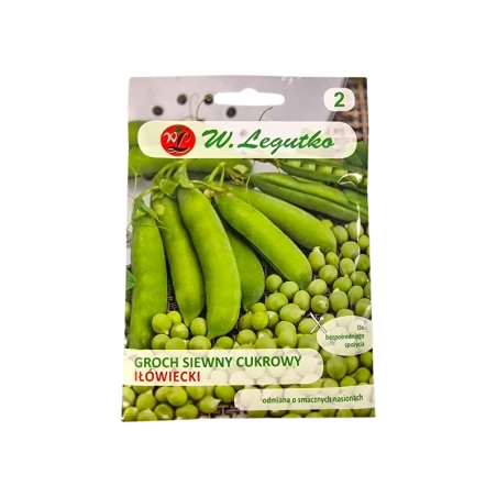 GROCH SIEWNY CUKROWY-IŁÓWIECKI