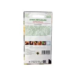 DYNIA ZWYCZAJNA CUKINIA-ASTRA POLKA