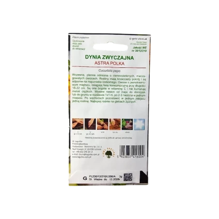 DYNIA ZWYCZAJNA CUKINIA-ASTRA POLKA
