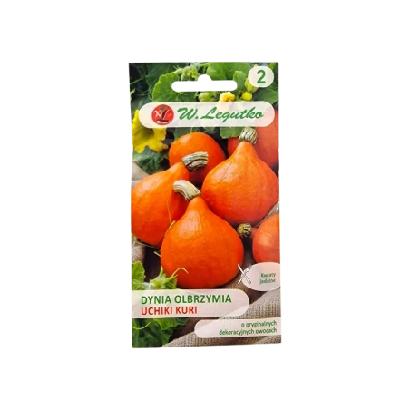 DYNIA OLBRZYMIA-UCHIKI KURI