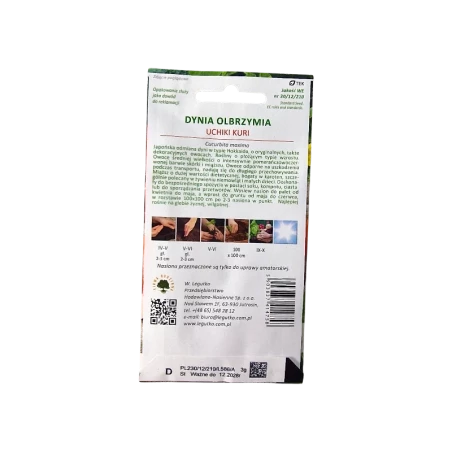 DYNIA OLBRZYMIA-UCHIKI KURI DYNIA OLBRZYMIA-UCHIKI KURI