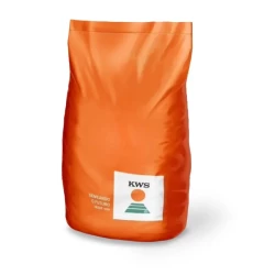 KWS PLUVIO