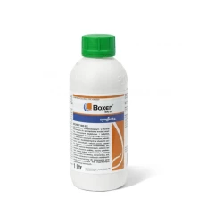 BOXER 800 EC