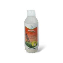 MAISTER POWER 42,5 OD