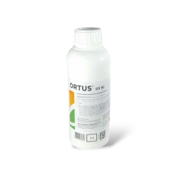 ORTUS 05 SC