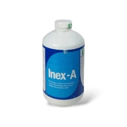INEX-A