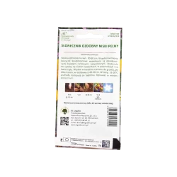 SŁONECZNIK OZDOBNY NISKI PEŁNY-TEDDY BEAR