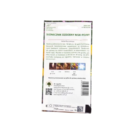 SŁONECZNIK OZDOBNY NISKI PEŁNY-TEDDY BEAR