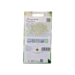 ROZMARYN LEKARSKI ROZMARYN LEKARSKI