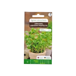 OREGANO LEBIODKA POSPOLITA