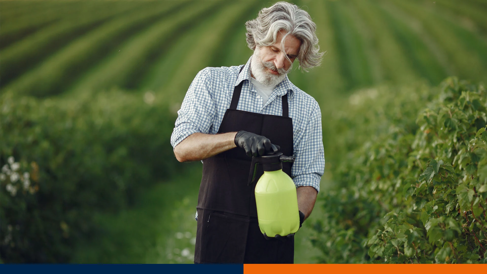 Mieszanie Fungicydów z Nawozami: Bezpieczne Połączenia w Ochronie Roślin