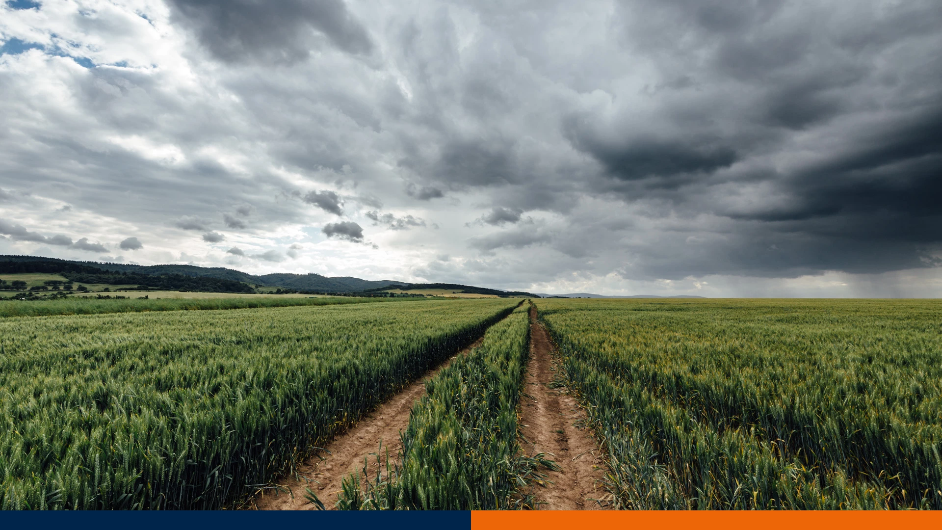 Opryski a pogoda – kiedy pryskać, żeby nie stracić pieniędzy?