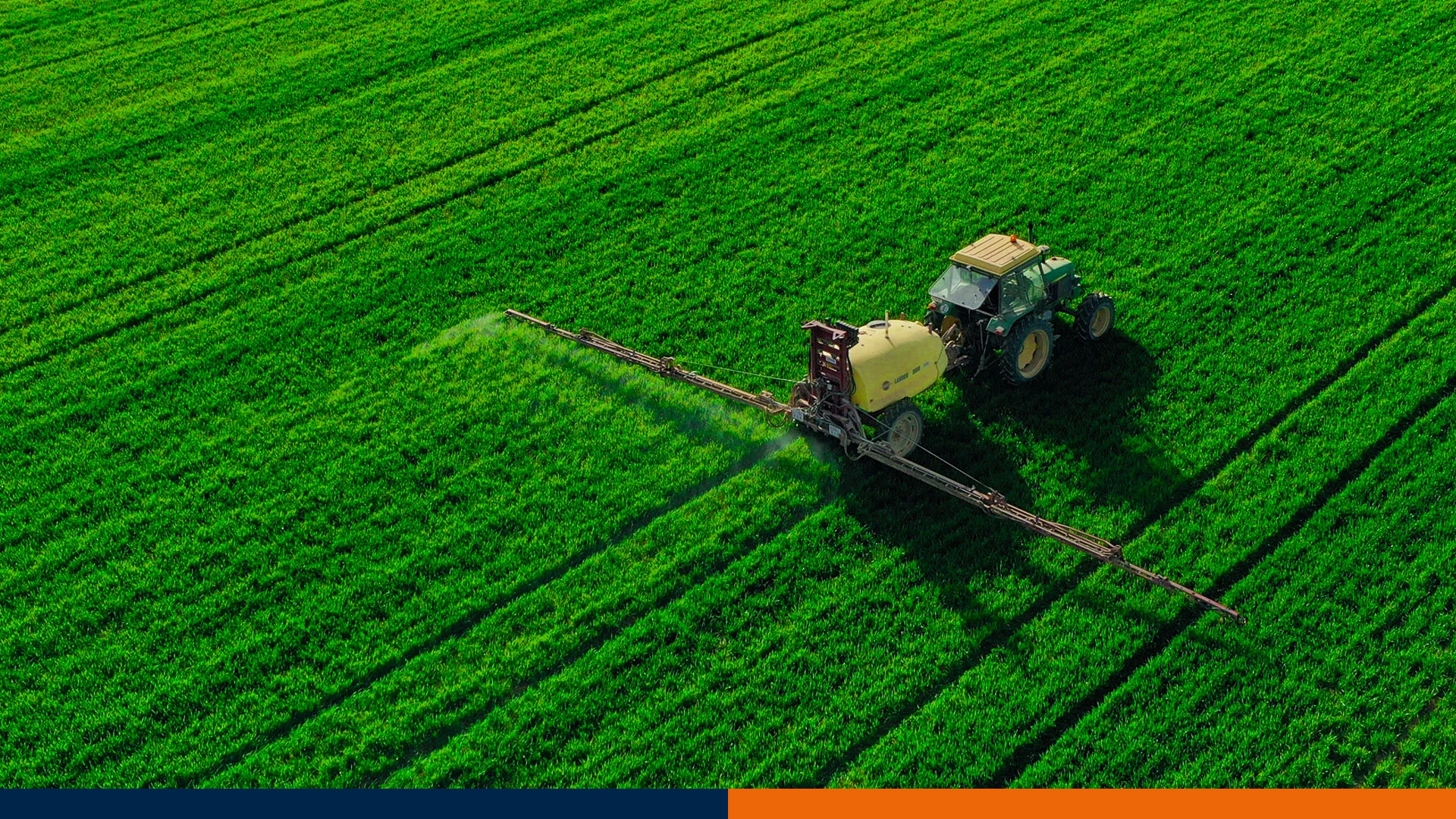 Adiuwanty bez tajemnic: jak mały dodatek może podwoić skuteczność twojego oprysku?