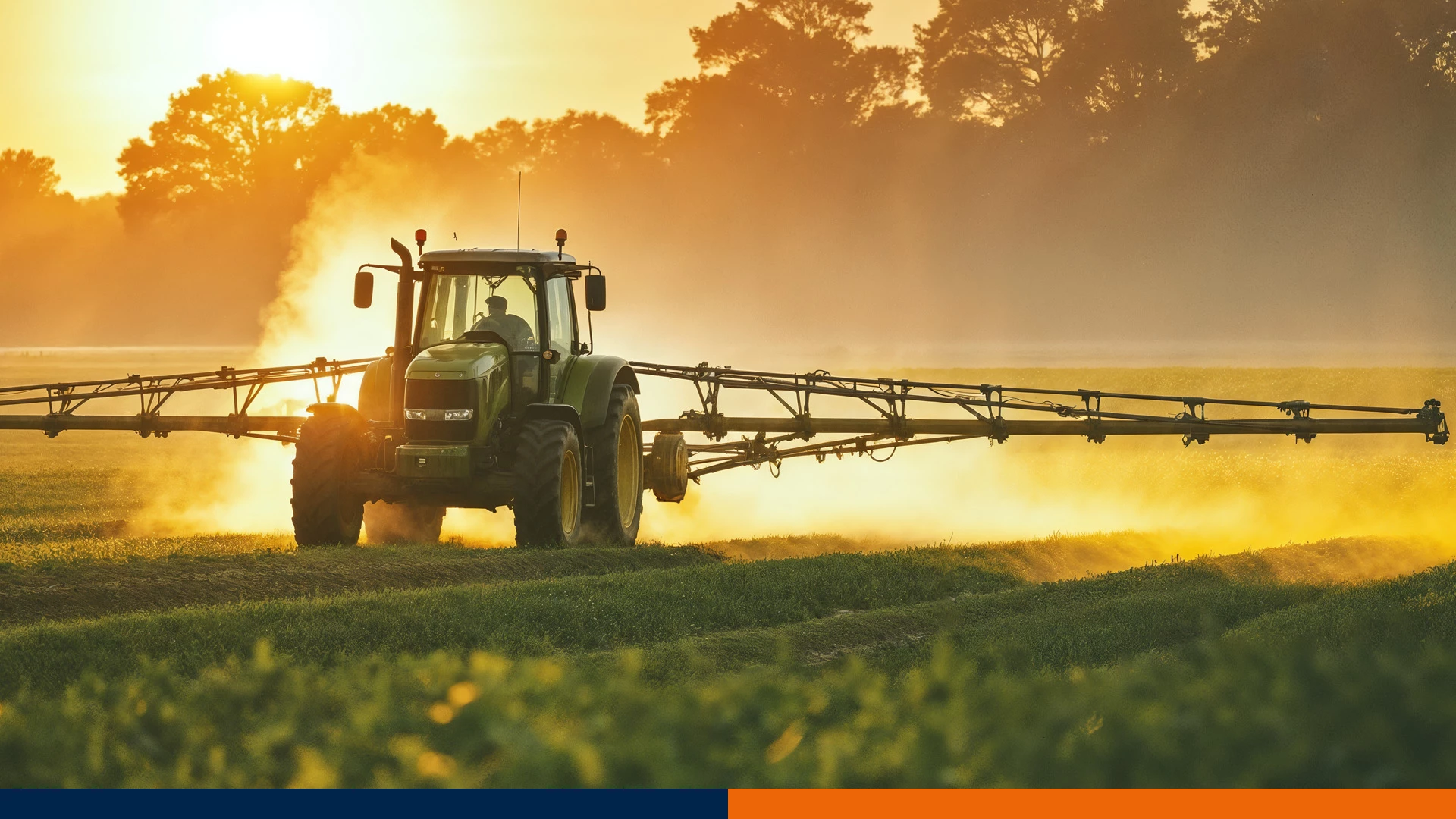 Kiedy pryskać? Kompletny poradnik: pogoda, temperatura i wilgotność a skuteczność oprysku