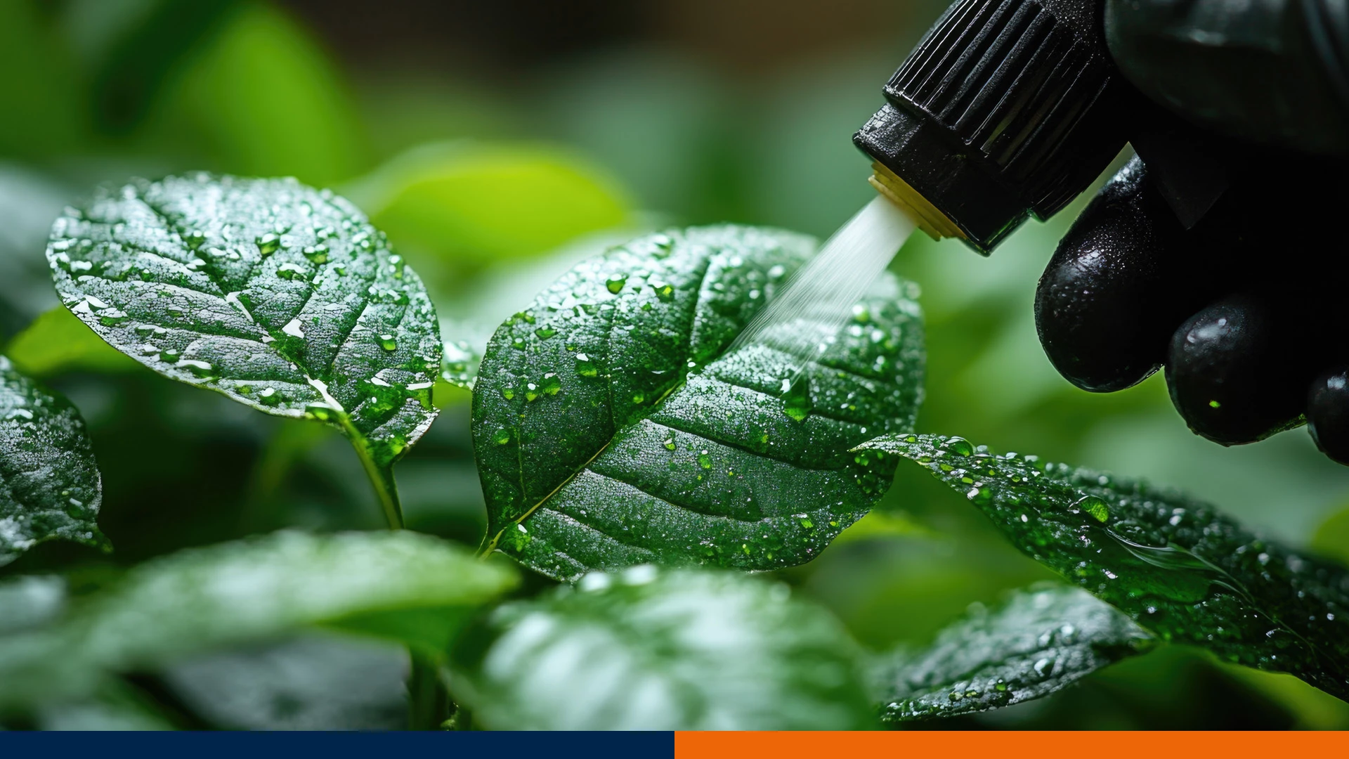 Mieszanie Środków Ochrony Roślin: Praktyczny Poradnik Łączenia Herbicydów i Nawozów