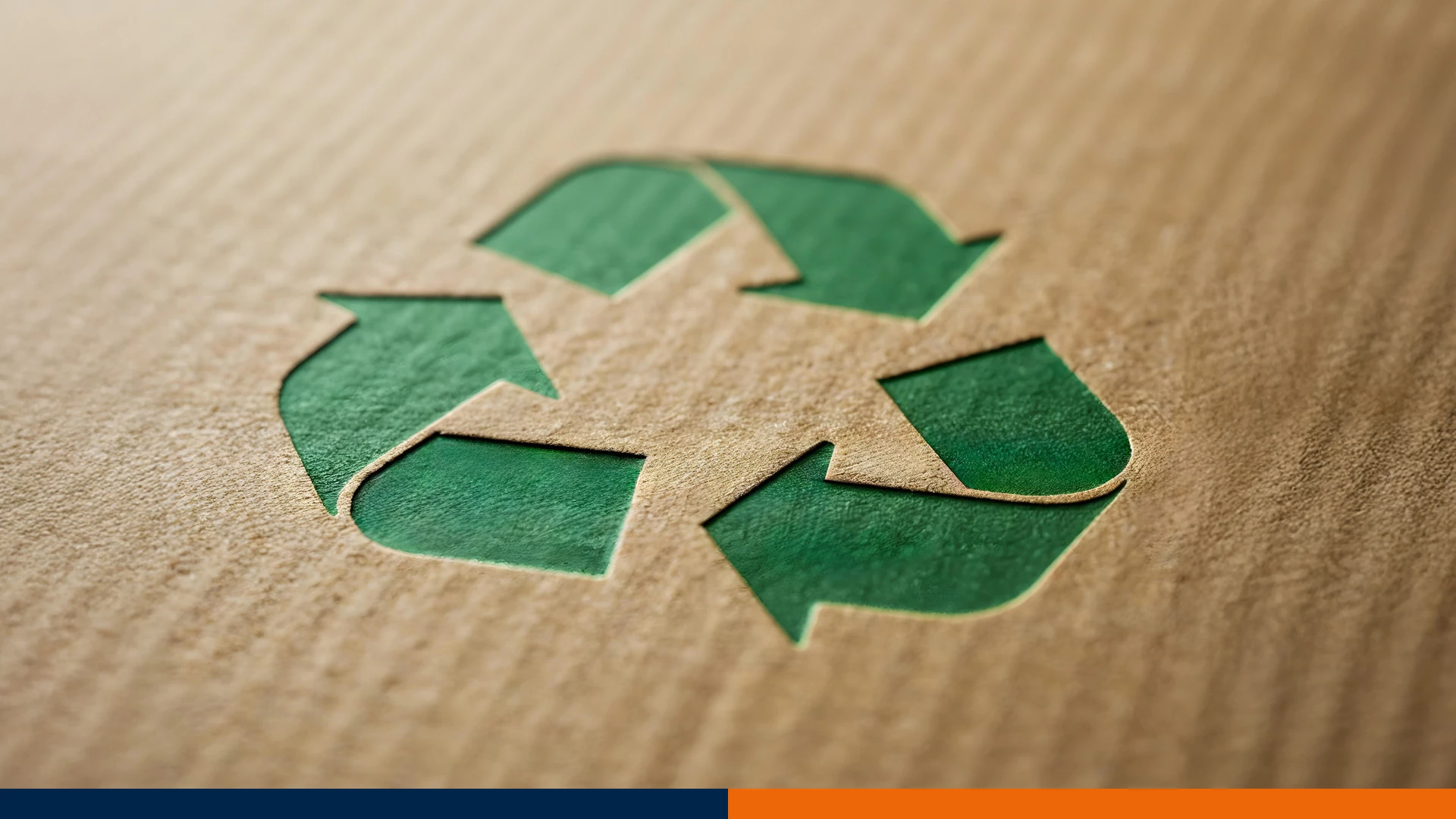 Puste Opakowania po Środkach Ochrony Roślin: Gdzie Oddać i Jak Przechowywać Resztki?