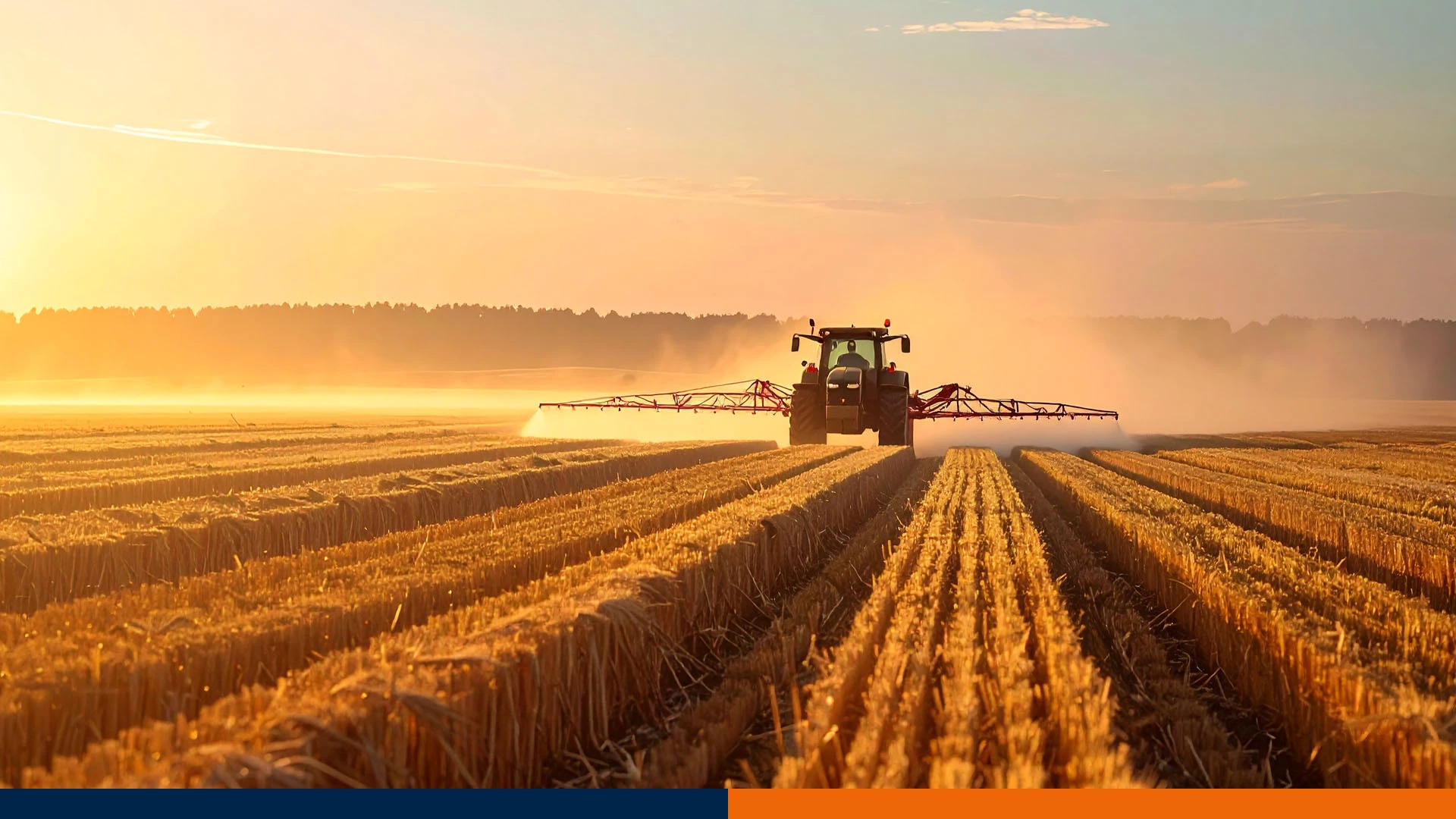 Desykacja i zwalczanie chwastów w jednym – jak przygotować pole pod kolejne zasiewy?